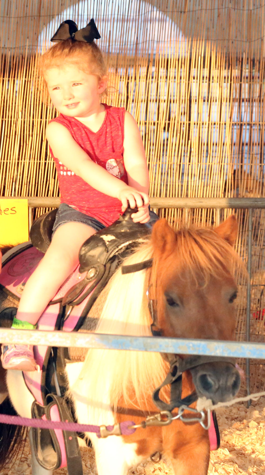Opening of Greater Pee Dee State Fair